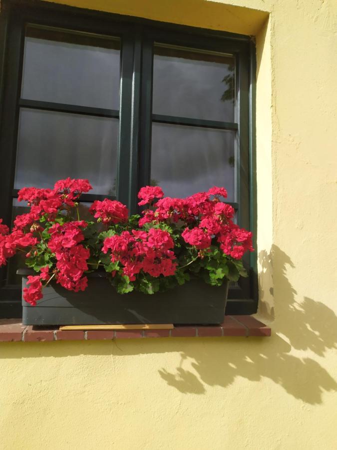 Wirtshaus Neuenkirchen Hotel Neuenkirchen auf Rugen Exterior foto